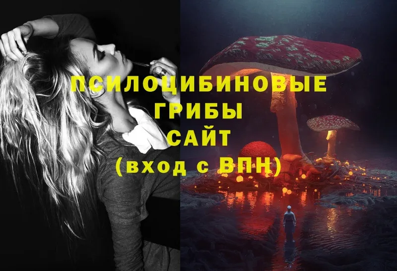 Псилоцибиновые грибы Magic Shrooms  Красноармейск 